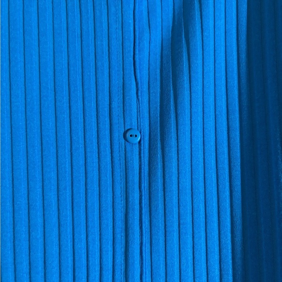 Zara Blue Ruffled Sleeve Dress - Picture 3 of 4